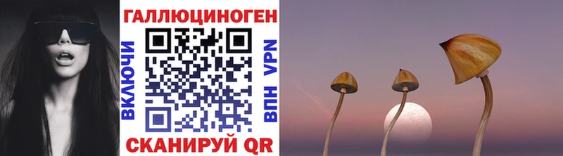 Псилоцибиновые грибы Psilocybine cubensis  Макушино 
