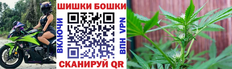 даркнет наркотические препараты  Макушино  Шишки марихуана White Widow  цены  